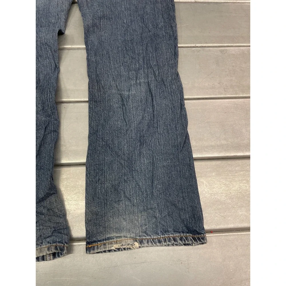 Levis levis 559